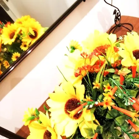 Centro900 לינה וארוחת בוקר 4*