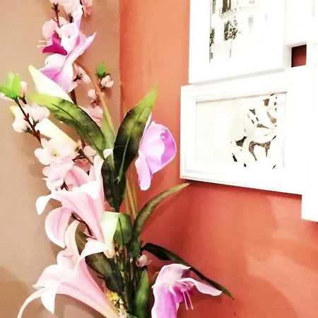 Centro900 Oda ve Kahvaltı